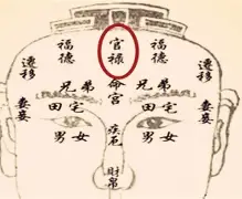 关于向禄的人属于什么档次的信息