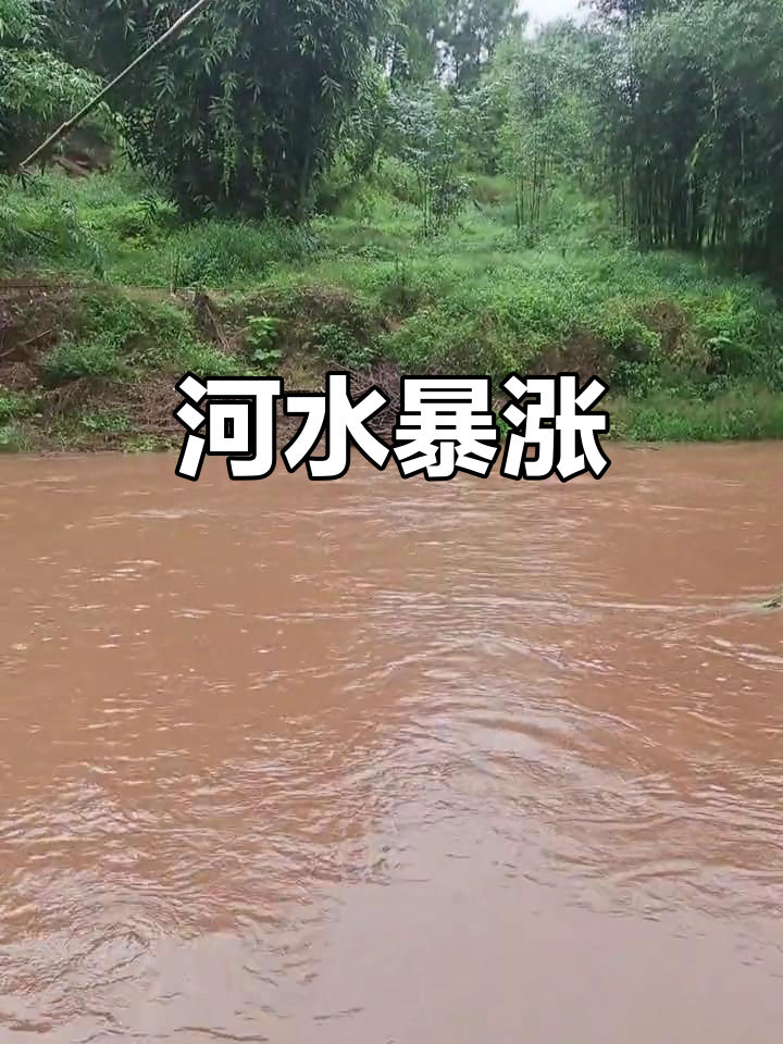 周公解梦涨大水(周公解梦涨大水的寓意)
