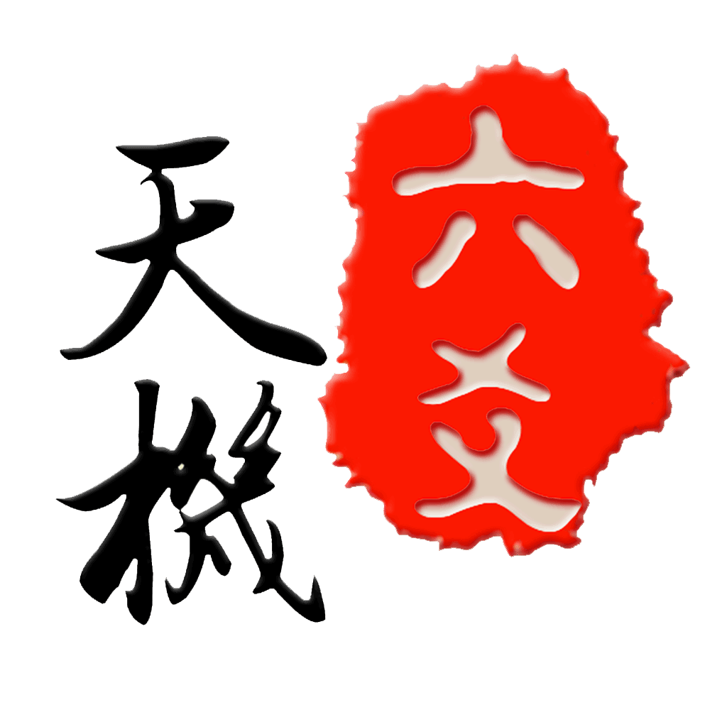 天机妙算免费排盘步骤(天机八字排盘软件免费安装)