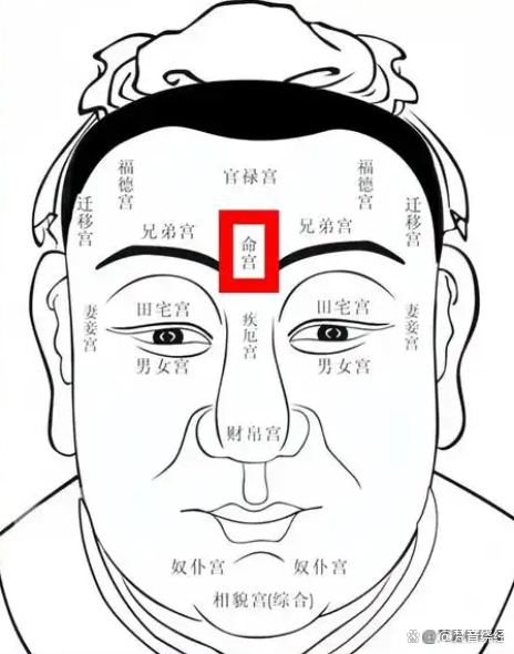 风水玄学揭秘观人中(女人人中宽大玄学意义)