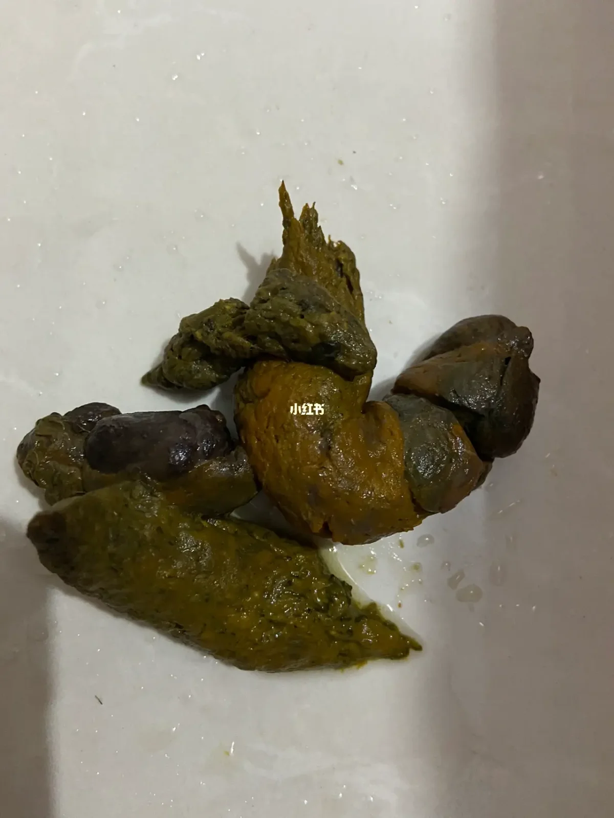周公粪便(周公解梦粪便预兆) 周公粪便(周公解梦粪便预兆)