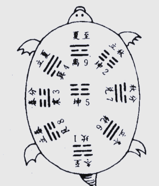 关于龟壳摇卦图解大全详解视频的信息 关于龟壳摇卦图解大全详解视频的信息