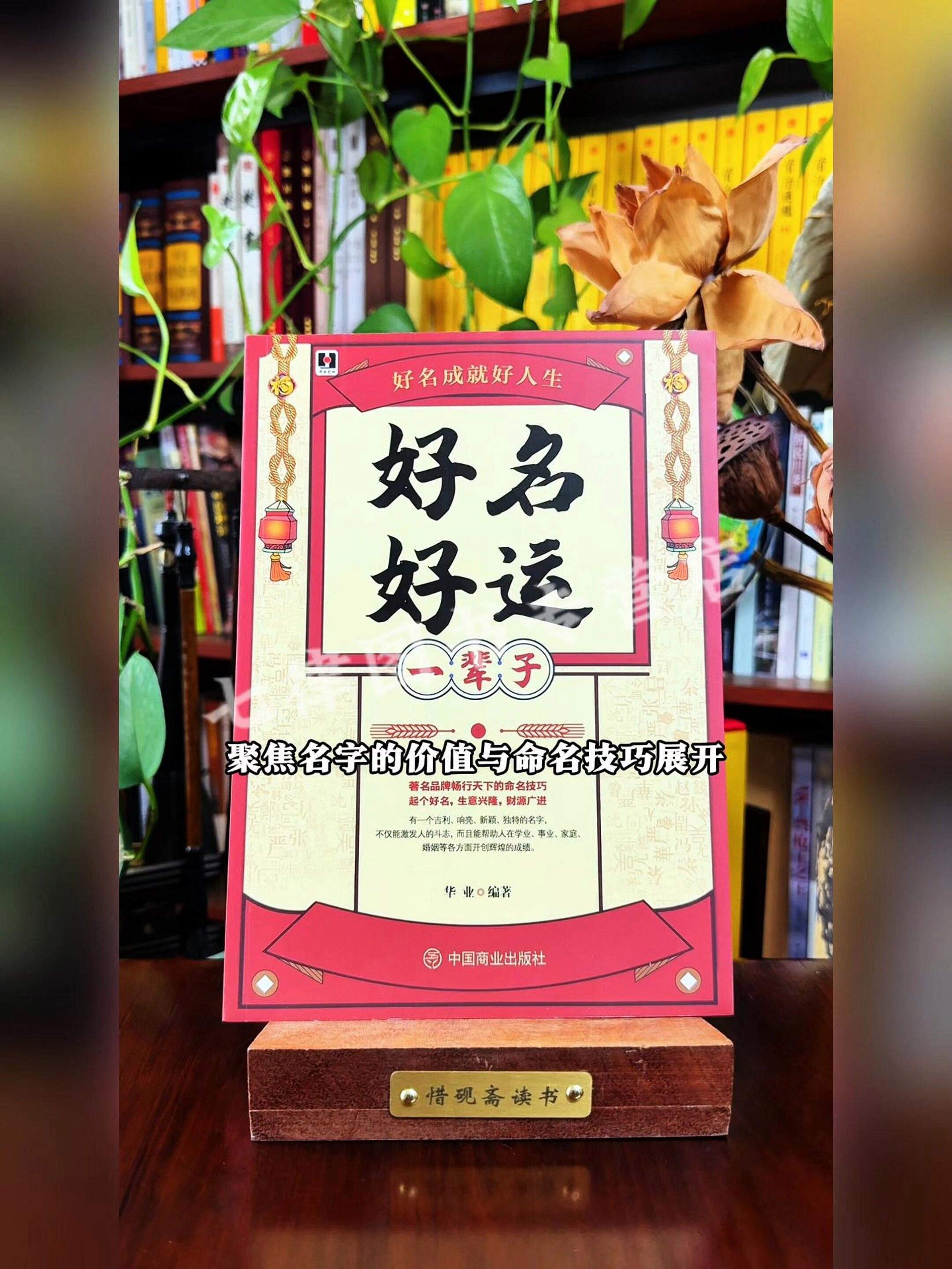 数理取名(数理取名汉字笔画表)