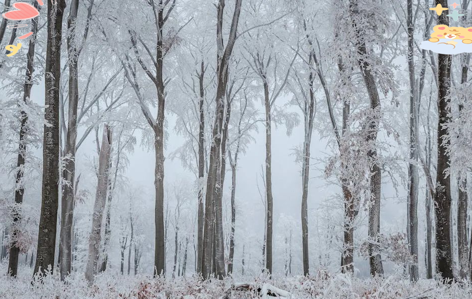 周公解梦下雪了是什么意思(周公解梦女人下雪是什么意思)