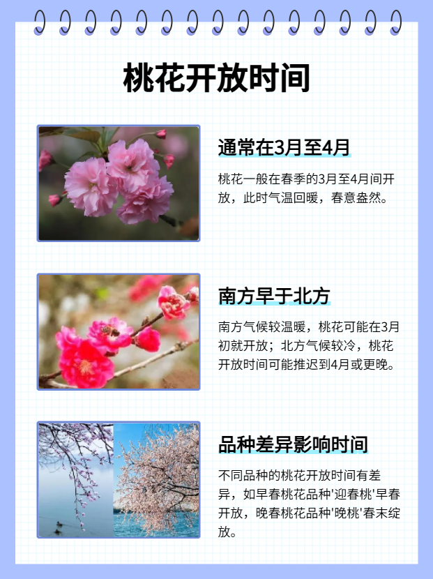 测你桃花运在哪个季节(测你的桃花运第一眼看是男还是女)