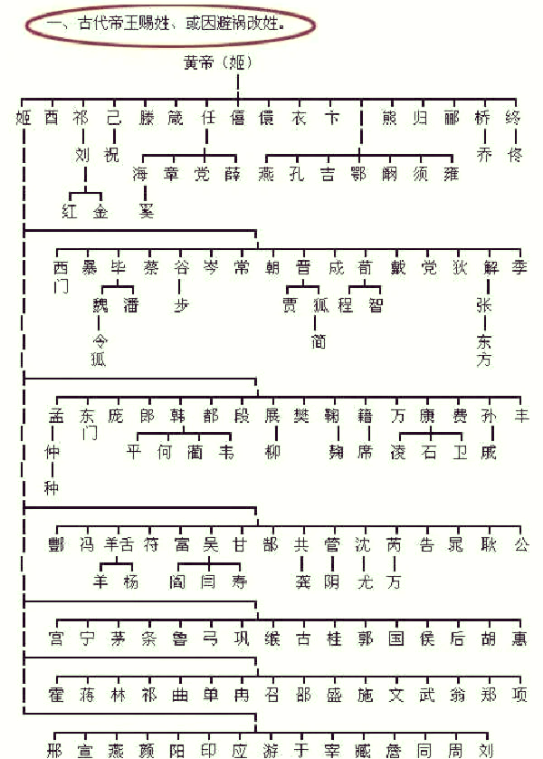 百家姓里有多少个姓(百家姓里有多少个姓氏)
