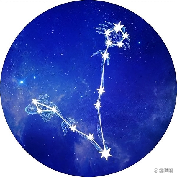 双鱼座日常运势(双鱼座日常运势指南)