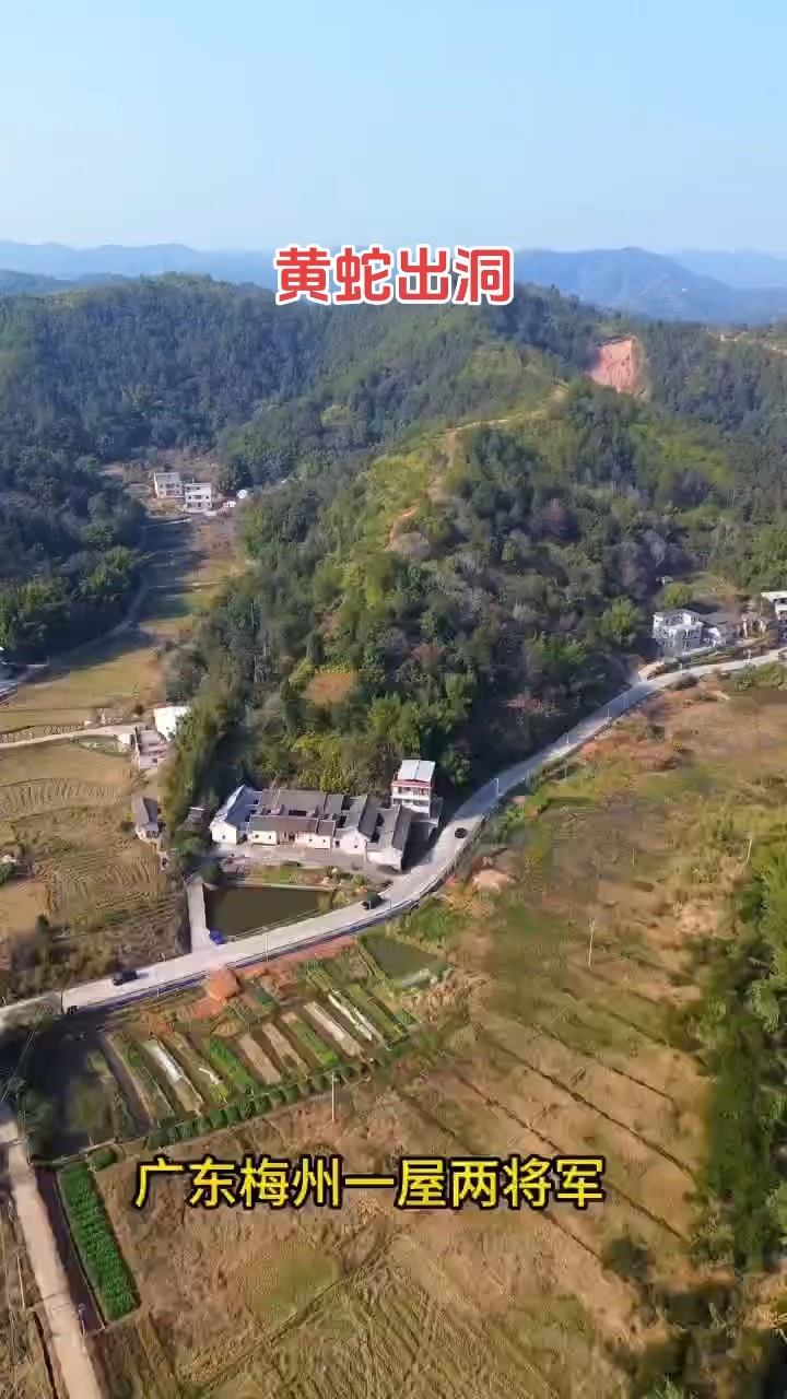 梅州风水大师罗家(罗家风水大师罗个人简历)