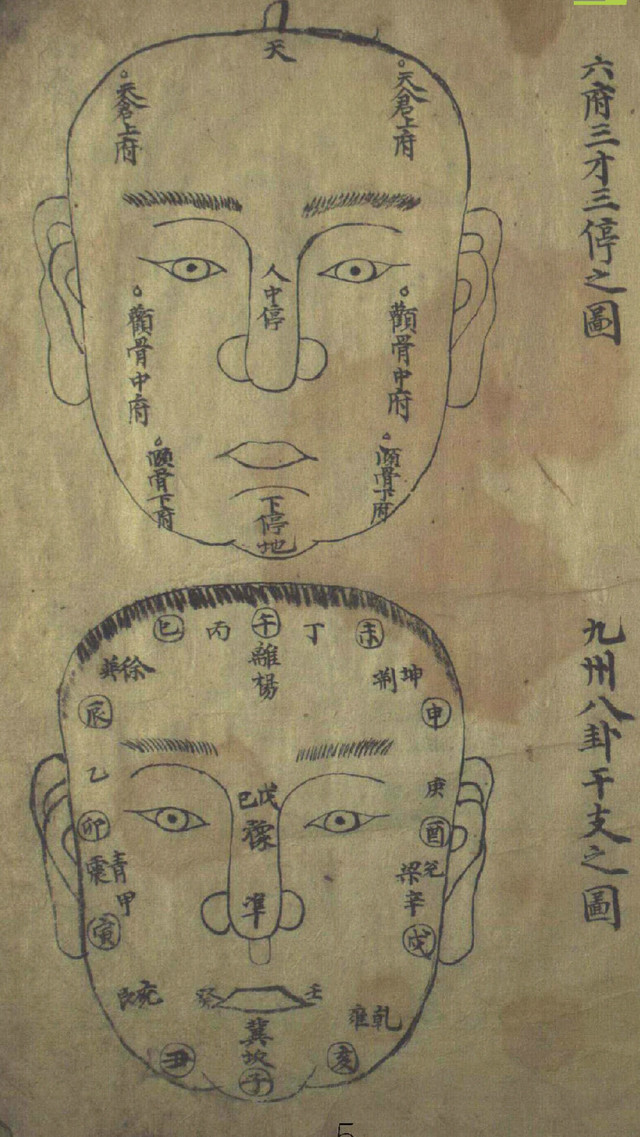 麻衣神相大全解读(麻衣神相大全解读视频)