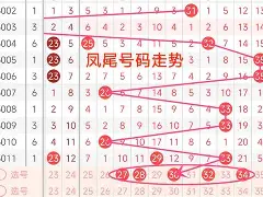 号码占仆(号码预占解除需要多久)