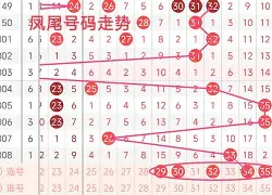 号码占仆(号码预占解除需要多久) 号码占仆(号码预占解除需要多久)