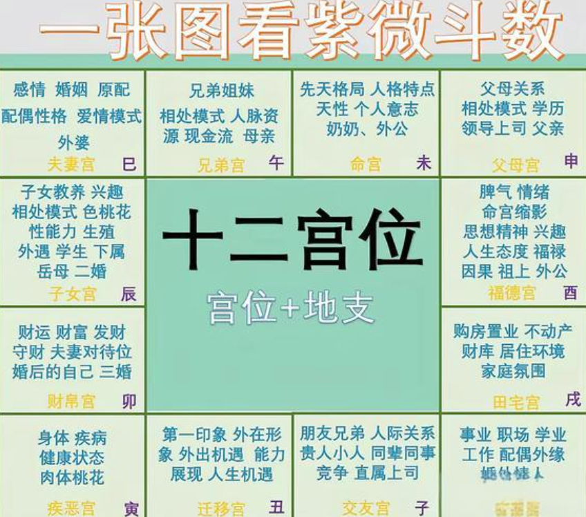 八字查询紫薇命盘(紫薇八字排盘免费算命)