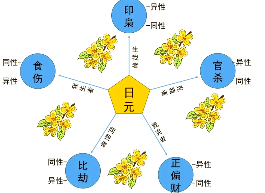 八字命理十神(八字命理十神的具体应用) 八字命理十神(八字命理十神的具体应用)
