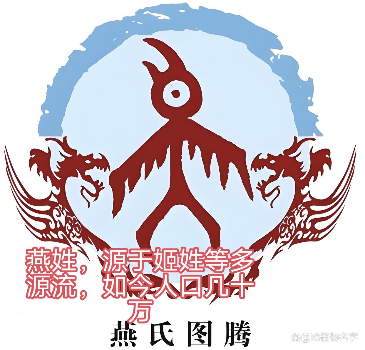 动物姓氏的排序(动物姓氏的排序规则) 动物姓氏的排序(动物姓氏的排序规则)