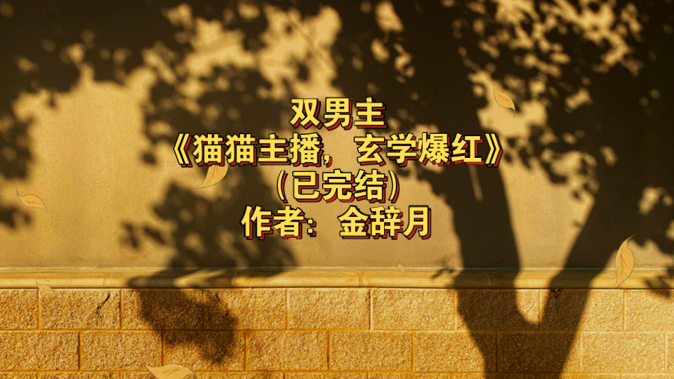 玄学风水灵异双男主文(双男主高质量灵异风水推荐) 玄学风水灵异双男主文(双男主高质量灵异风水推荐)