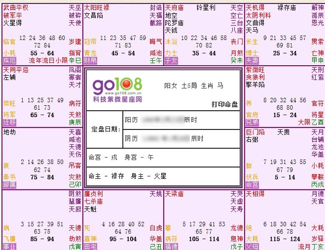 紫微八字排盘解读(免费排紫微斗数命盘) 紫微八字排盘解读(免费排紫微斗数命盘)