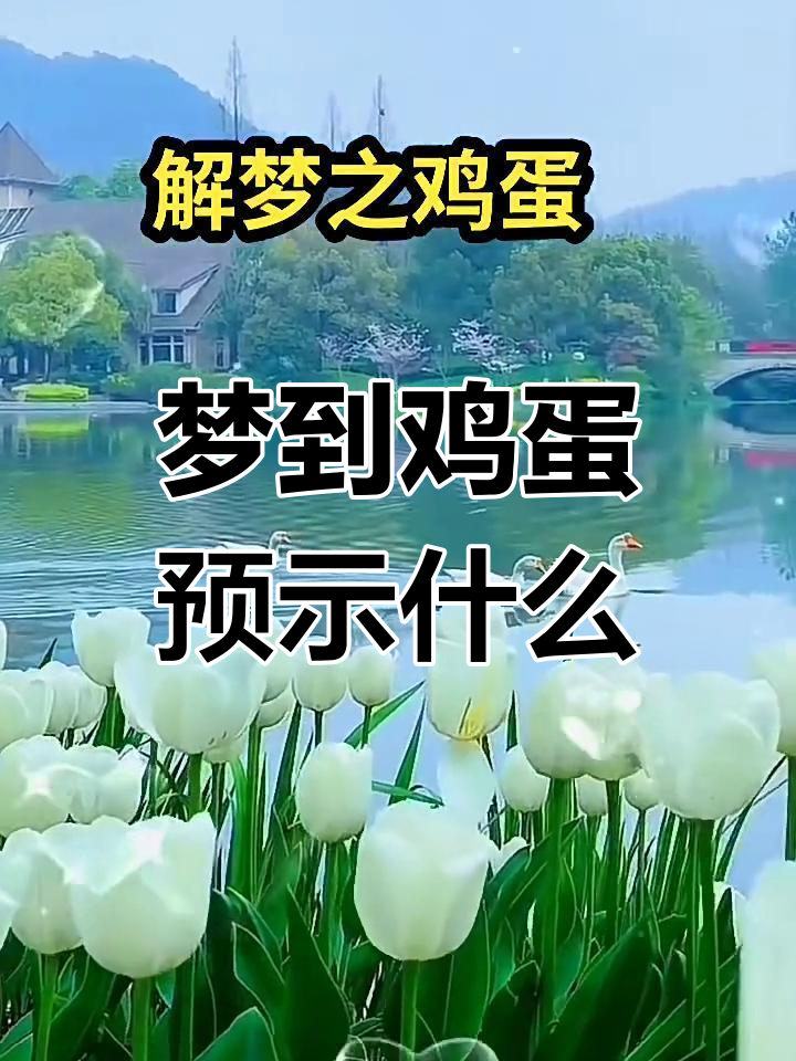 周公解梦粪便梦境解析(周公解梦粪便梦境解析什么意思)