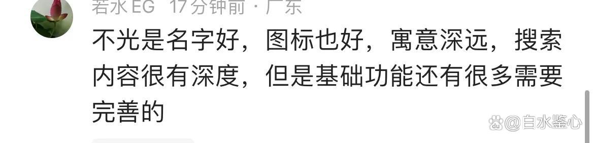 名字评分软件(姓名评分测试打分app)