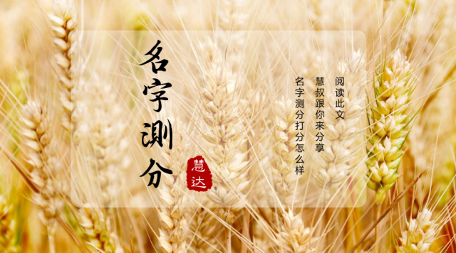 起名测评分(起名姓名评分打分工具)