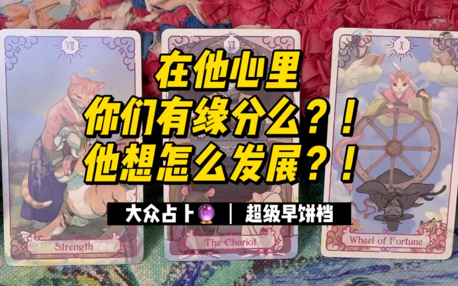 塔罗牌免费测试对方(免费塔罗测试免费) 塔罗牌免费测试对方(免费塔罗测试免费)