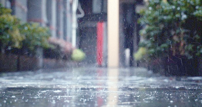 周公解梦下大雨是什么意思(原版周公解梦下大雨影响行程) 周公解梦下大雨是什么意思(原版周公解梦下大雨影响行程)