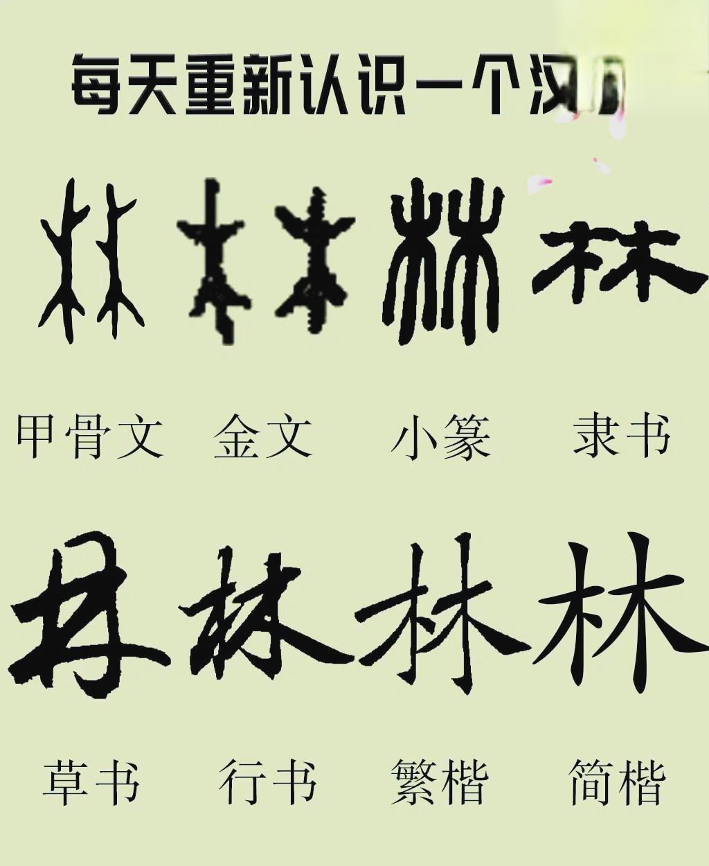 姓名测正缘免费(姓名测二人缘分免费)