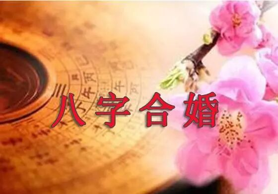 包含八字合婚免费版完整版的词条