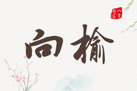 测试免费姓名打分(免费测姓名打分卜易居)