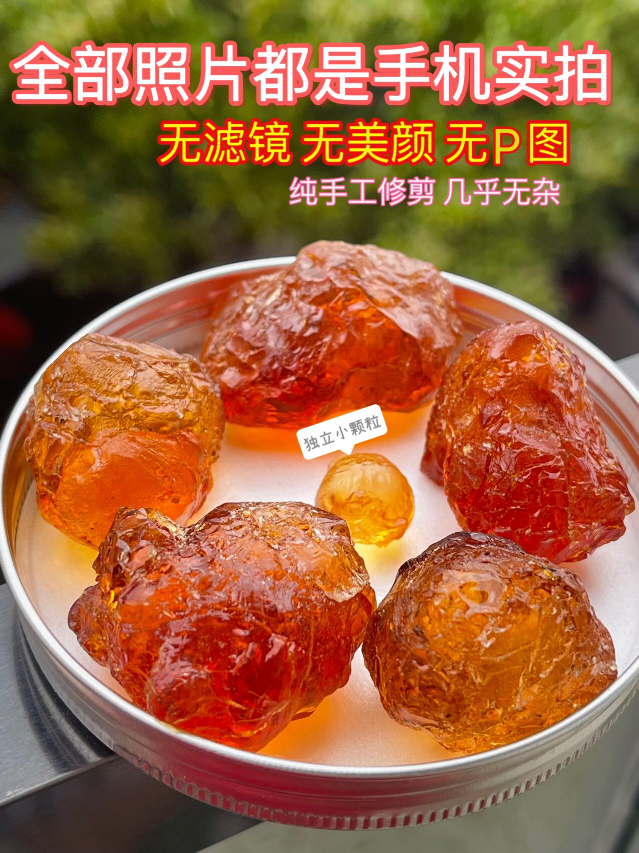 一亩桃树能产多少桃胶1(一亩桃树能产多少桃胶合适呢)