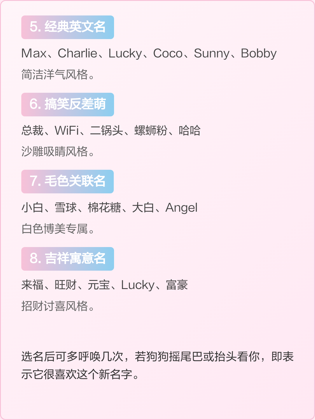 博美起名字女孩(博美起名字女孩名字大全) 博美起名字女孩(博美起名字女孩名字大全)