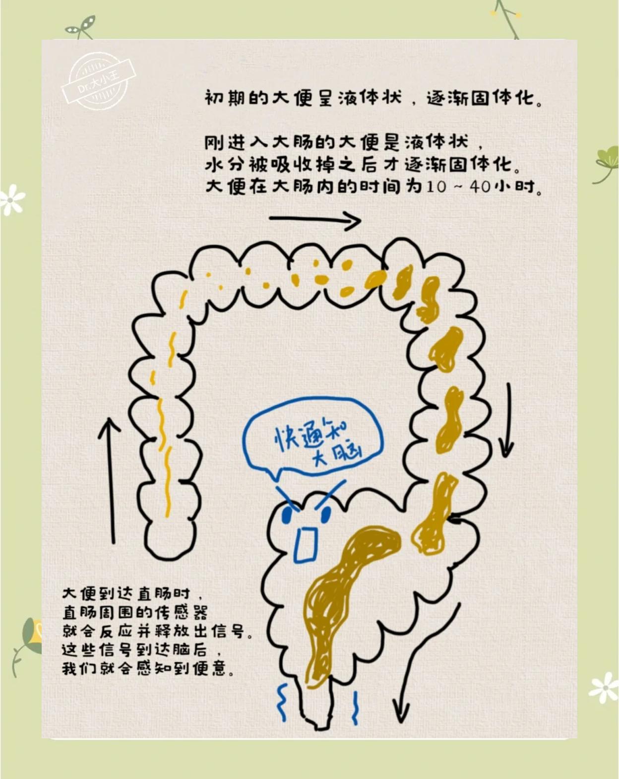 解梦拉屎(解梦拉屎被人看见)