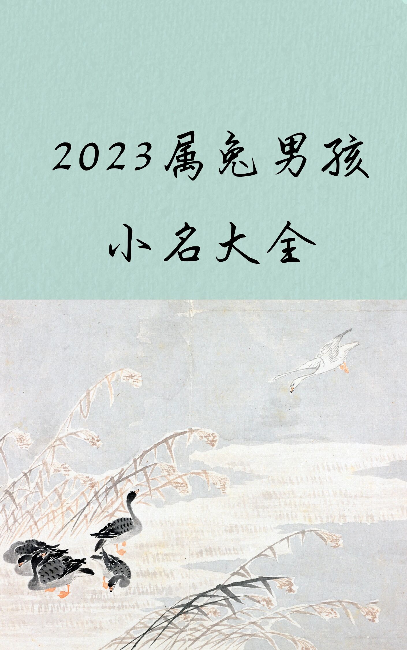 取名字大全免费2023属兔的男孩子(取名字大全免费2023属兔的男孩子起名)