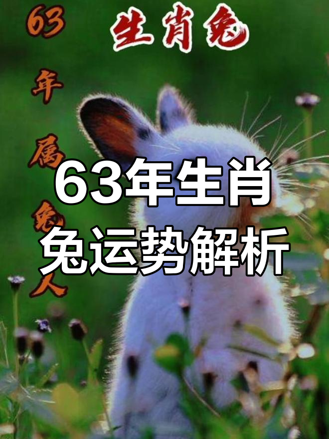 属兔人寅时生人的命运如何(寅时出生的属兔人适合做什么工作)