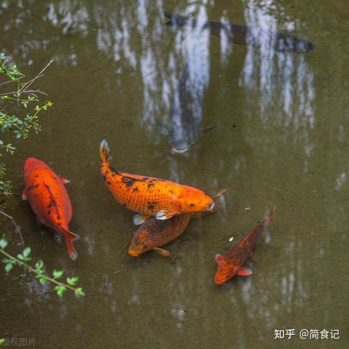 家中不顺跟什么有关系(运气不好怎么办怎样改善运气)