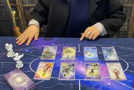 关于塔罗解惑免费测试秘密花园的信息