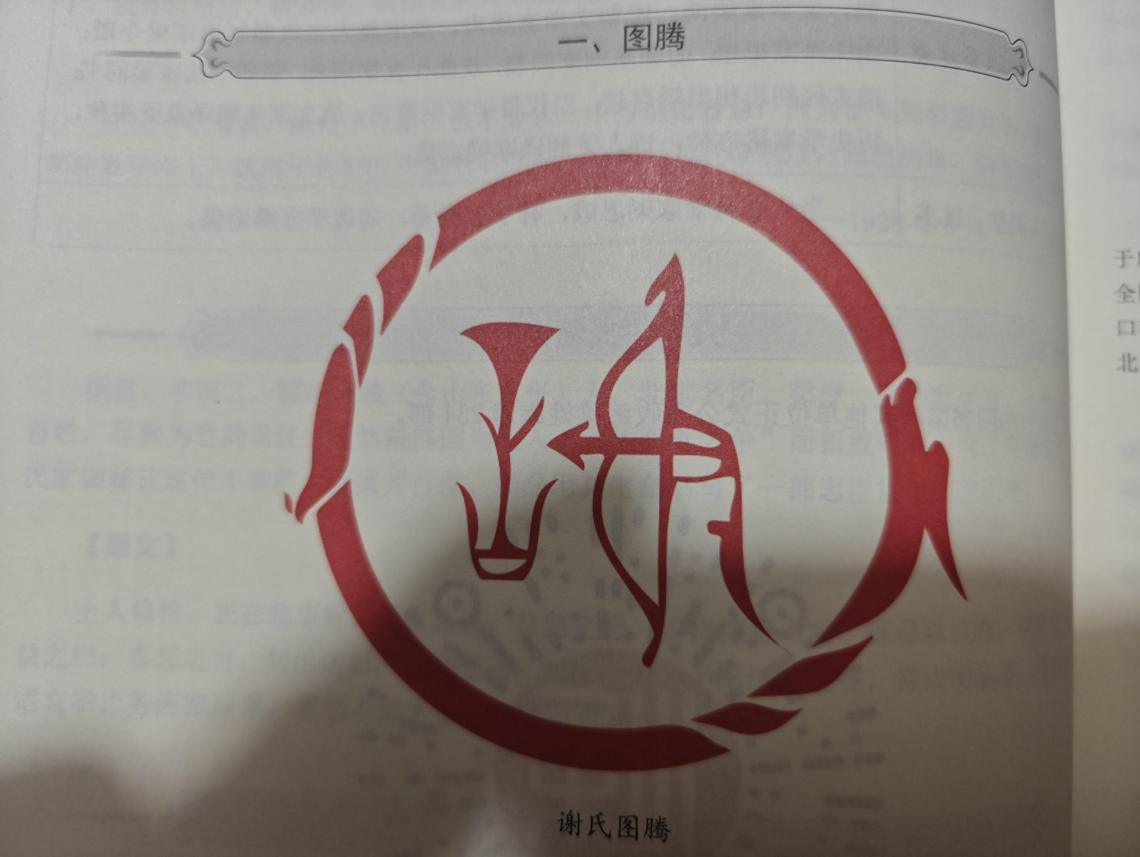 百家姓全部视频播放的简单介绍