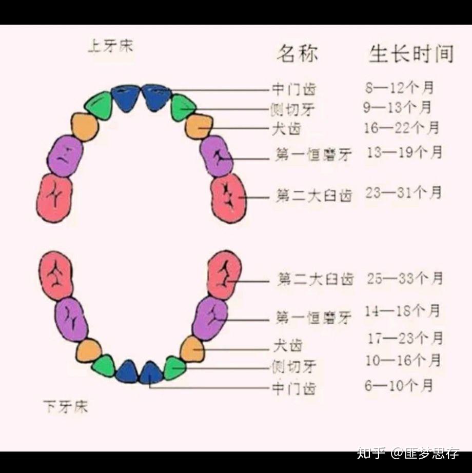 周公解梦大全免费版梦见掉牙齿(周公解梦大全查询梦见掉了一颗牙)