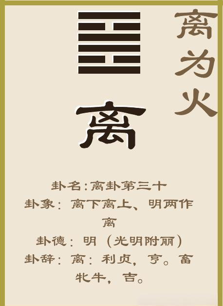 金钱卦每日一卦怎么玩(金钱卦每日一卦免费版下载) 金钱卦每日一卦怎么玩(金钱卦每日一卦免费版下载)