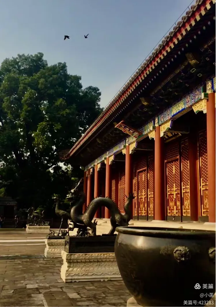 入帘青什么时候建的(入帘青楼盘什么时候开盘的)