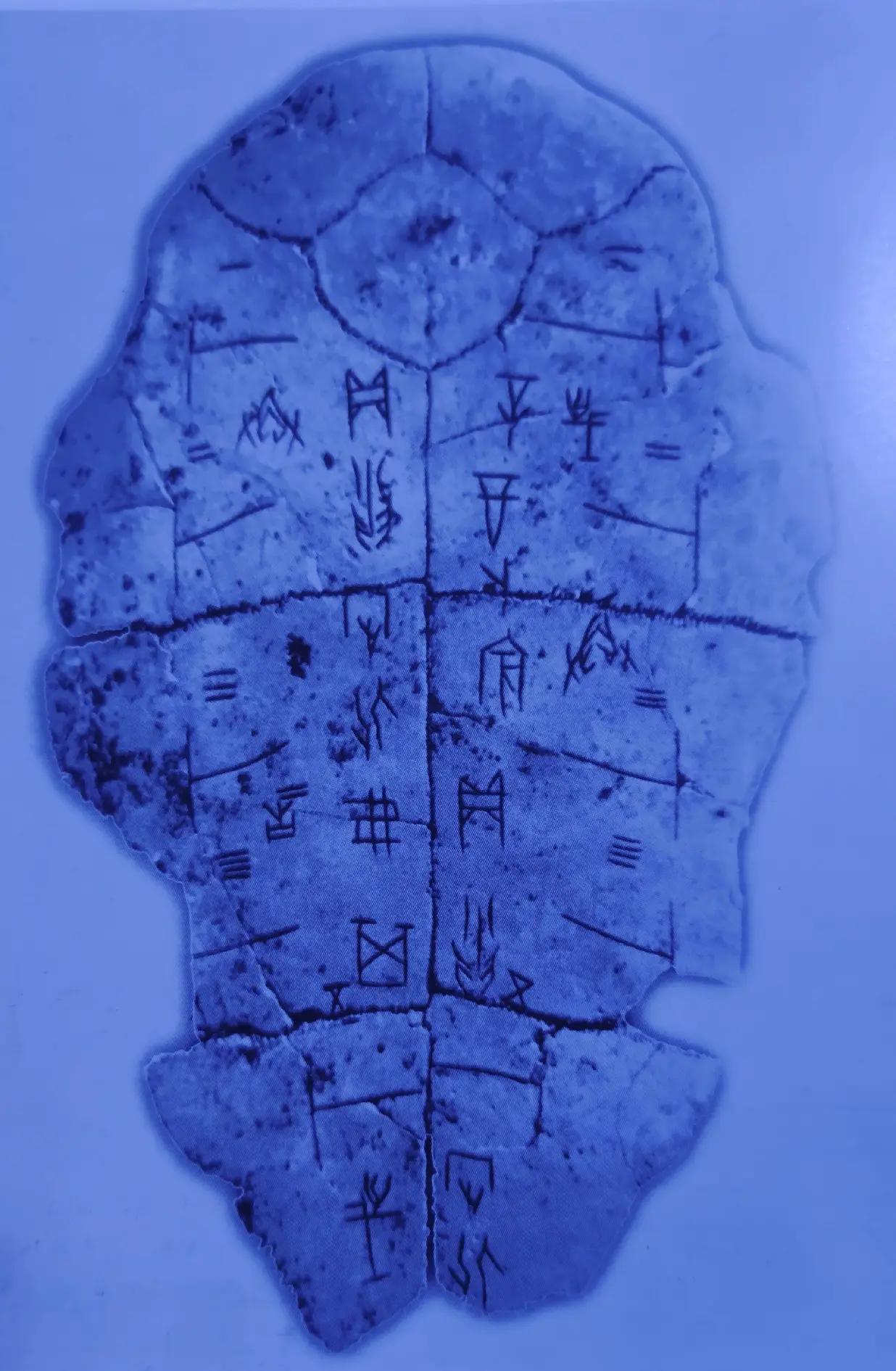 占卜之术怎么学最快视频(占卜之术怎么学最快视频讲解)