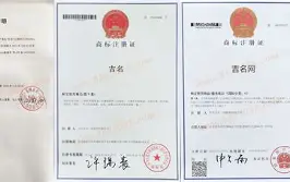 1518姓名测试免费步骤图解(1518姓名测试免费结果怎么看)