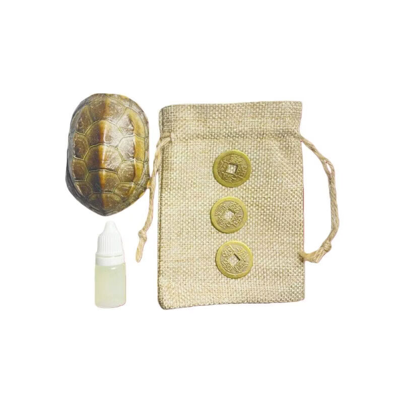六爻龟壳占卜用哪种龟壳(六爻用龟壳占卜的具体步骤)