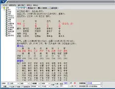 玄奥八字下载安装(玄奥八字免费版)
