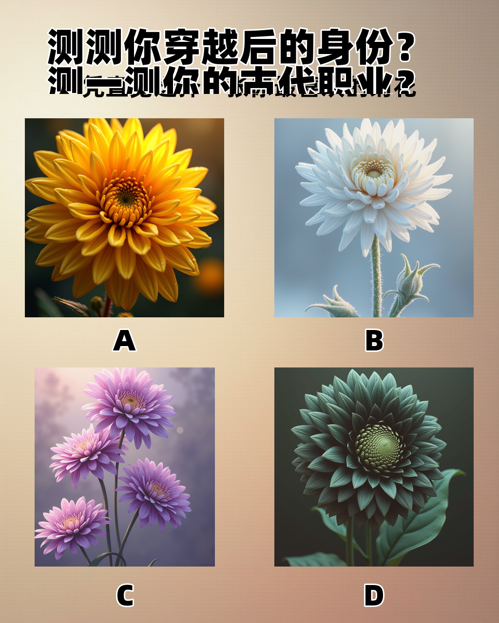 关于桃花运怎么测试算出来的信息