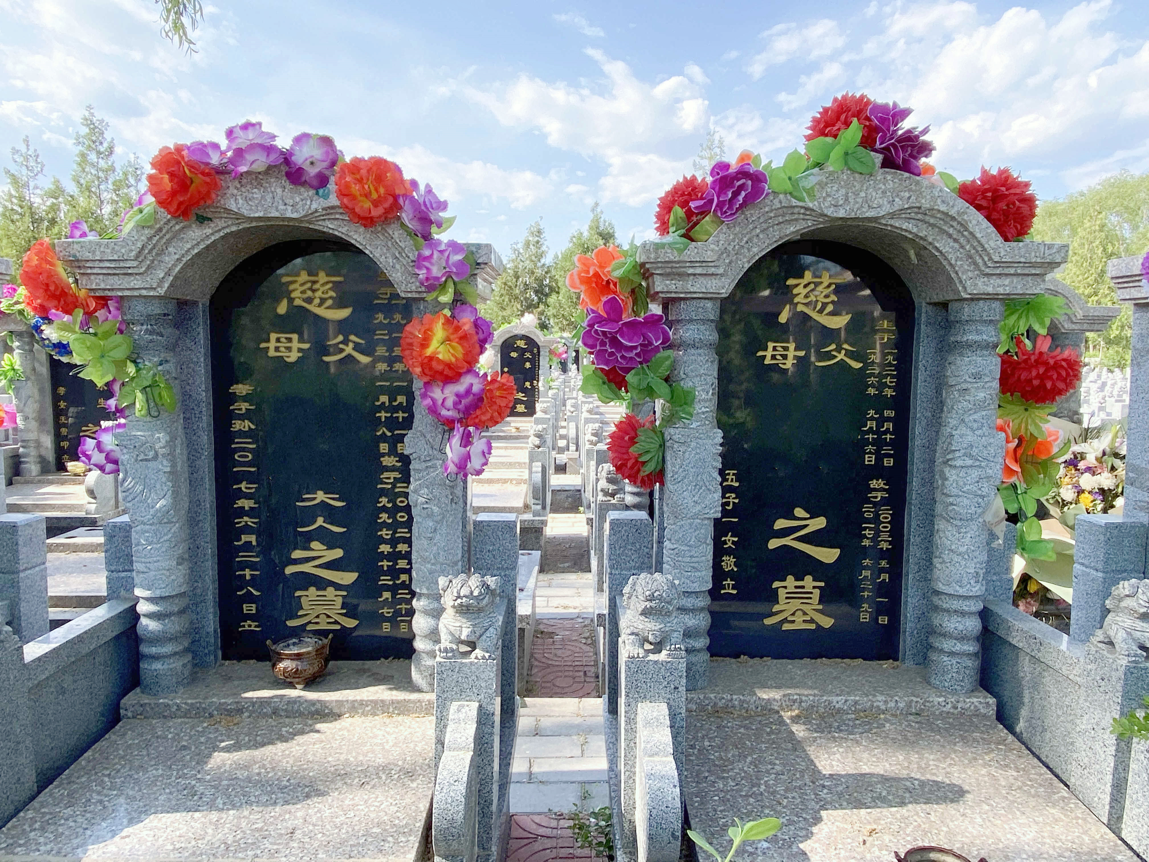 葬坟的地方叫什么(葬坟什么地势发女方)