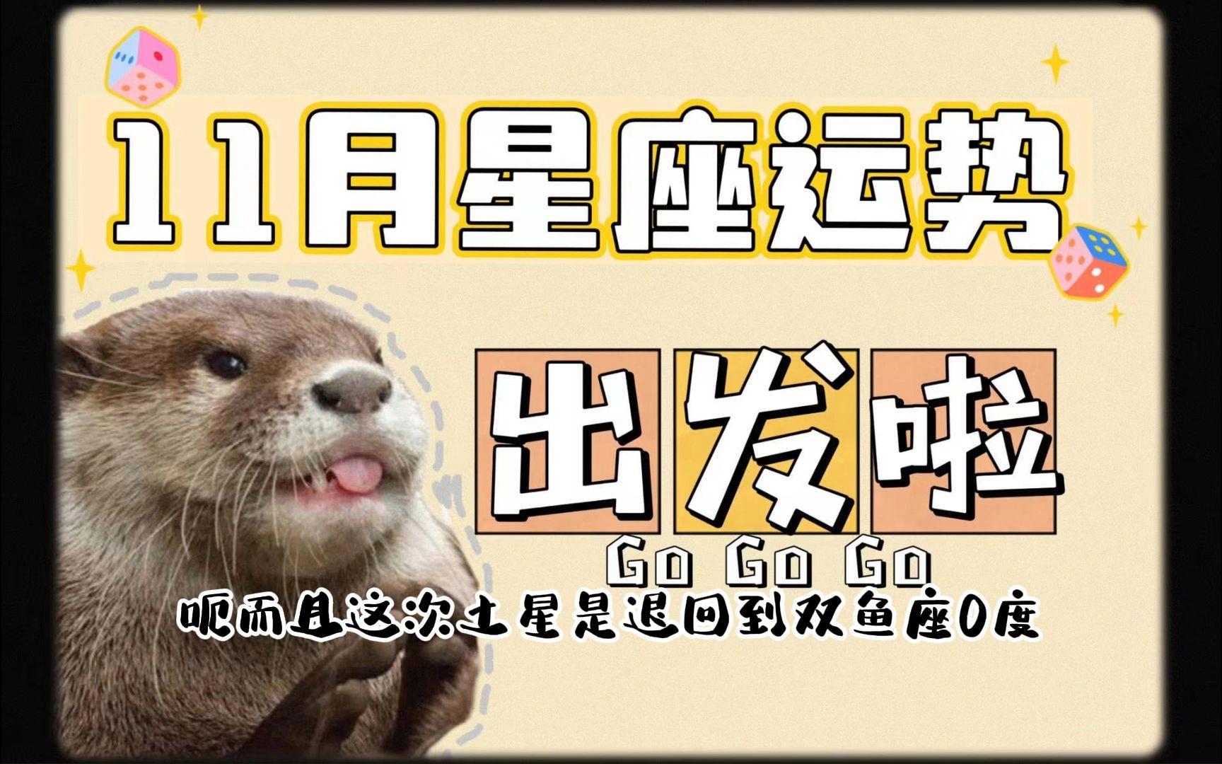 星座运势可信度多少(星座运势准不准可信吗)