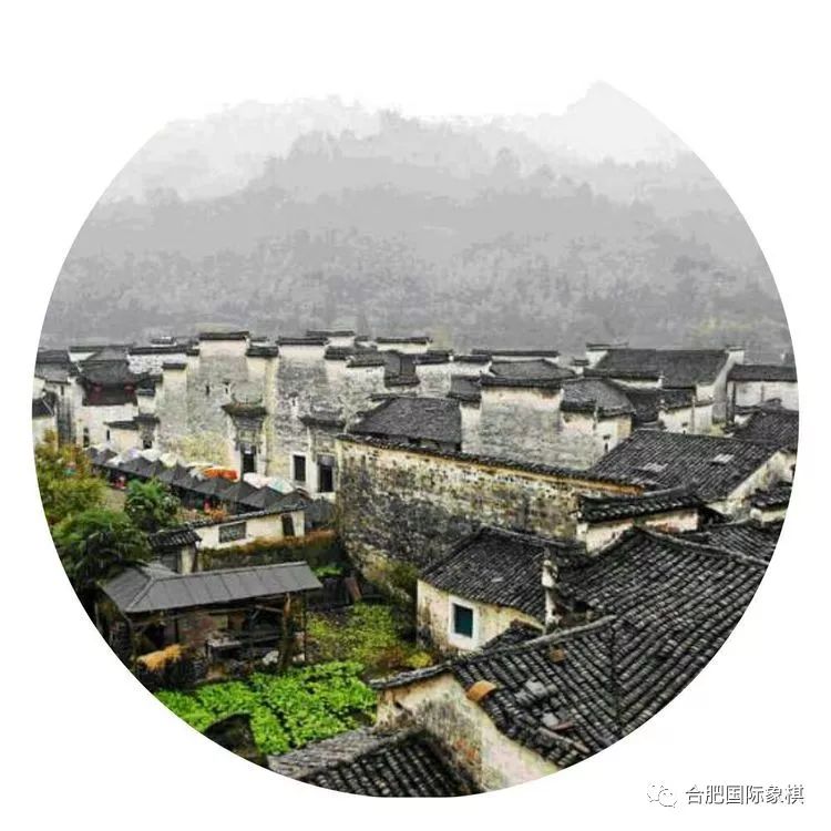 大师姓氏指南(大师姓氏指南全文阅读)