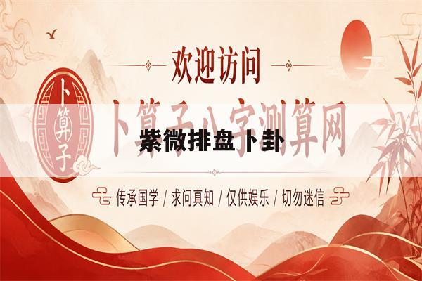 紫微排盘卜卦(紫薇排盘怎么看运气)