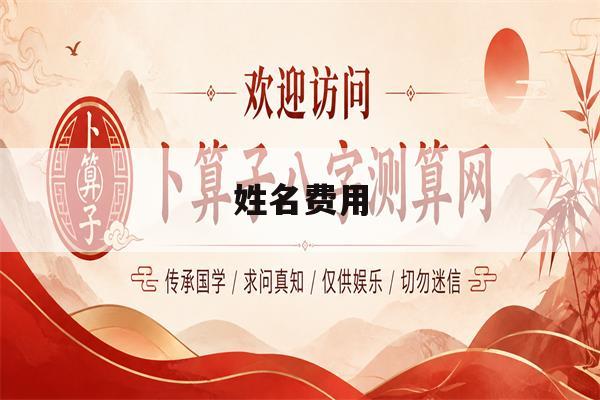 姓名费用(姓名费用合计怎么填)