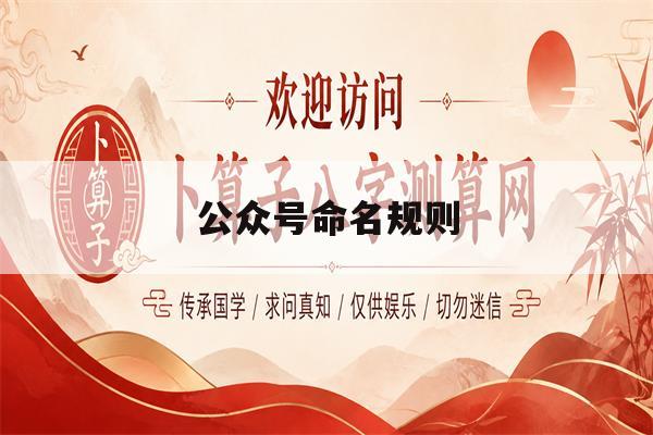 公众号命名规则(公众号命名规则大全) 公众号命名规则(公众号命名规则大全)